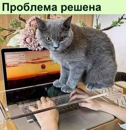 Мем, Cat Fil