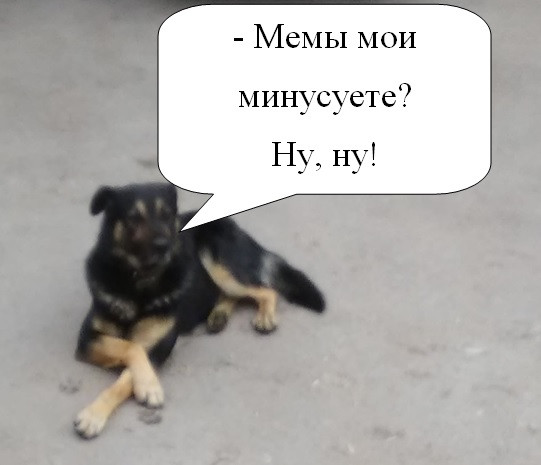 Мем: - Мемы мои минусуете?, TRnD