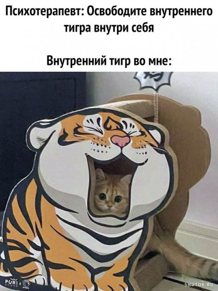 Мем, Джокер