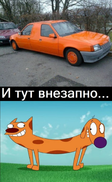 Мем, lettlefox