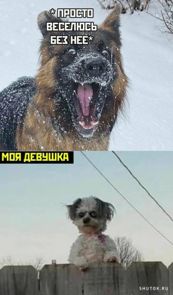 Мем, Джокер