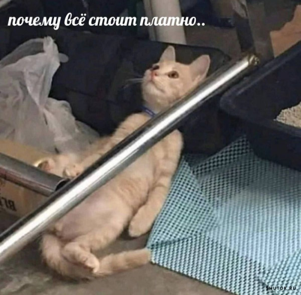 Мем, Джокер