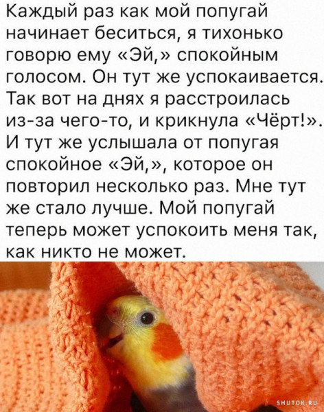 Мем, Джокер