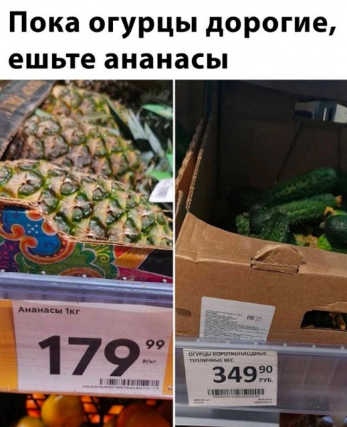 Мем, Брюттон