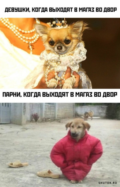 Мем, Джокер