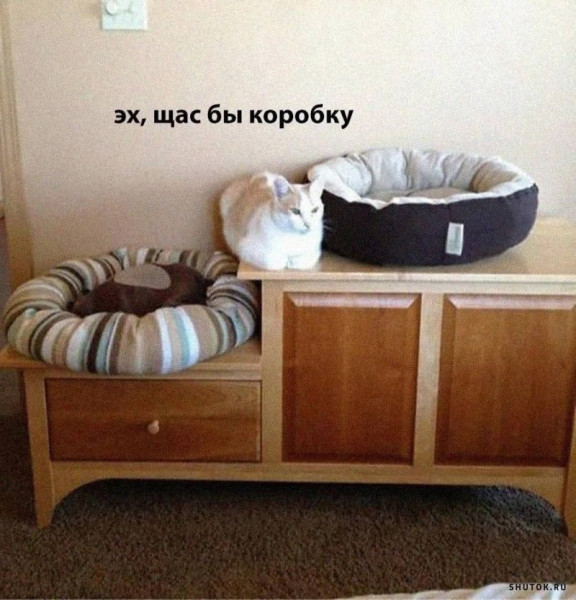 Мем, Джокер