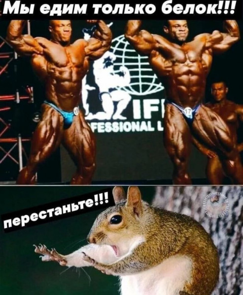 Мем, Брюттон