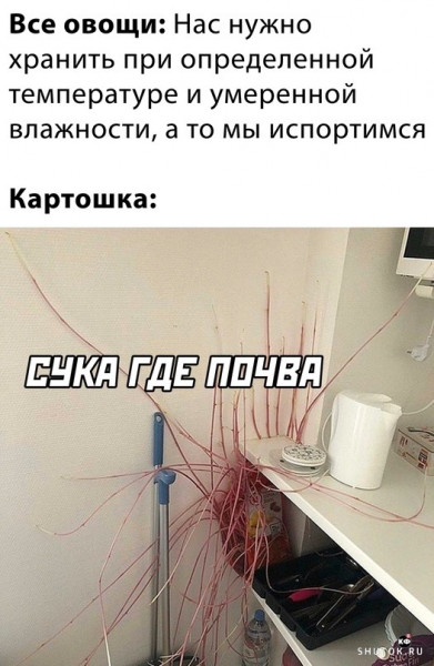 Мем, Джокер