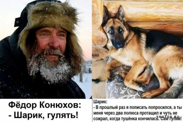 Мем, Джокер