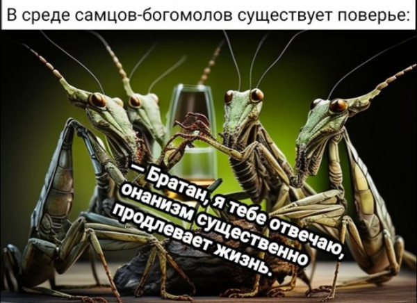 Мем, Брюттон