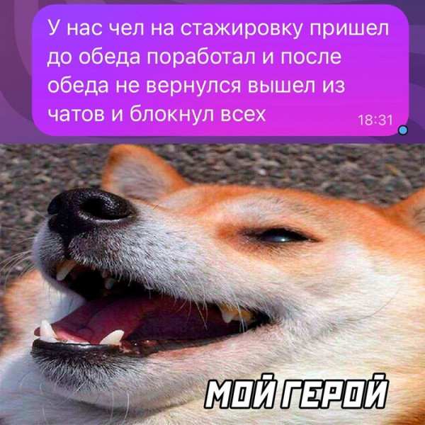 Мем, Брюттон