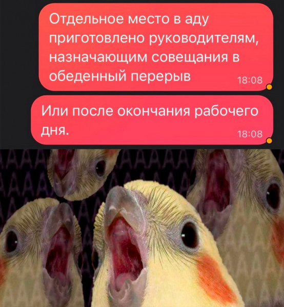 Мем, Брюттон