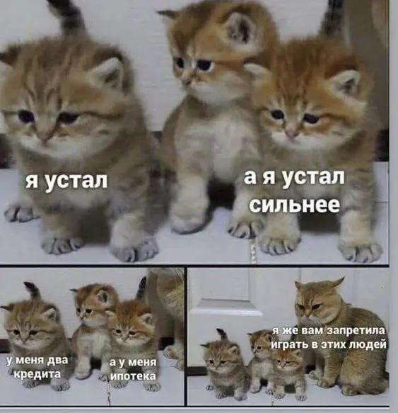 Мем, beauty_foo_ll