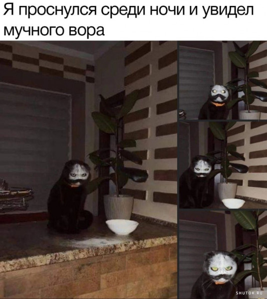 Мем, Джокер