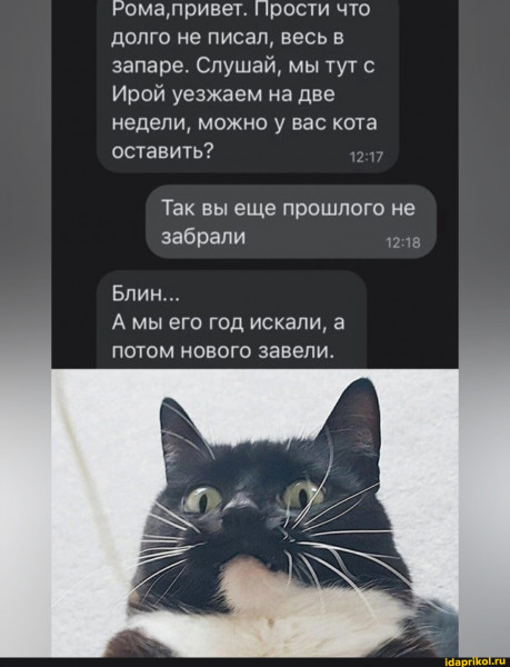 Навигация по записям