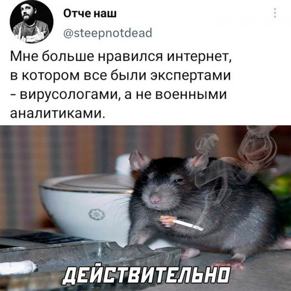 Мем, Брюттон