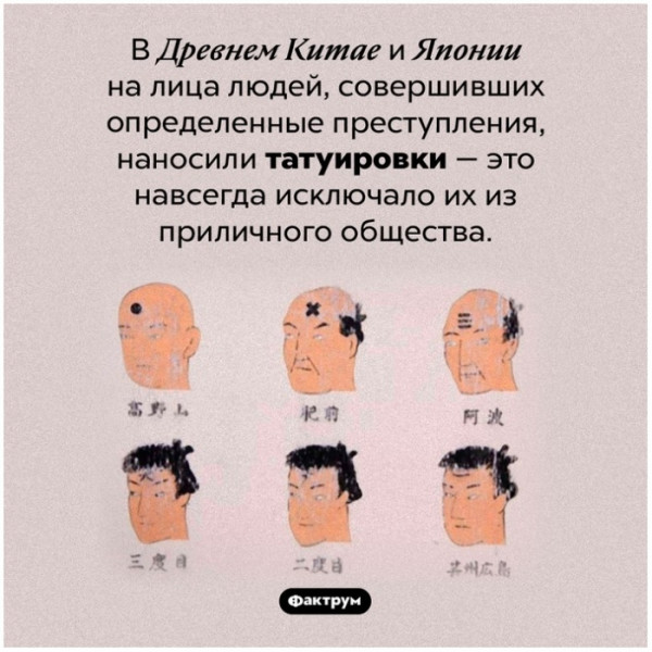 Мем: А я то гадал зачем у некоторых на лице есть тату, Брюттон