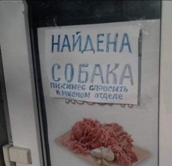 Мем: Найдена собака, suchka