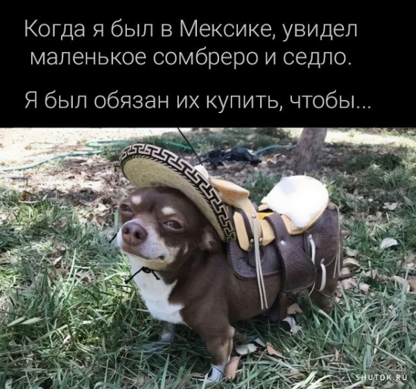 Мем, Джокер