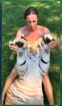 Мем: Ку-ку, тигра., Серж Скоров