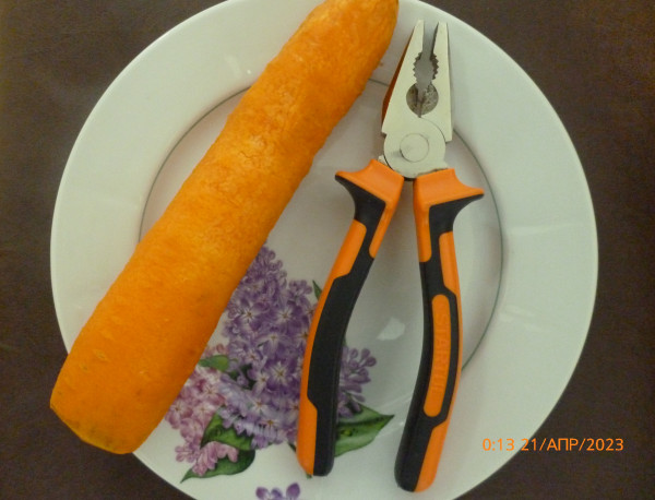 Мем: Морковь и пассатижи, Лис Интересный
