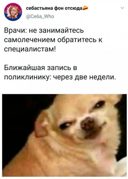 Мем, Брюттон