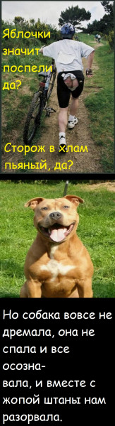 Мем, Лис Интересный