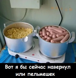 Мем, Лис Интересный