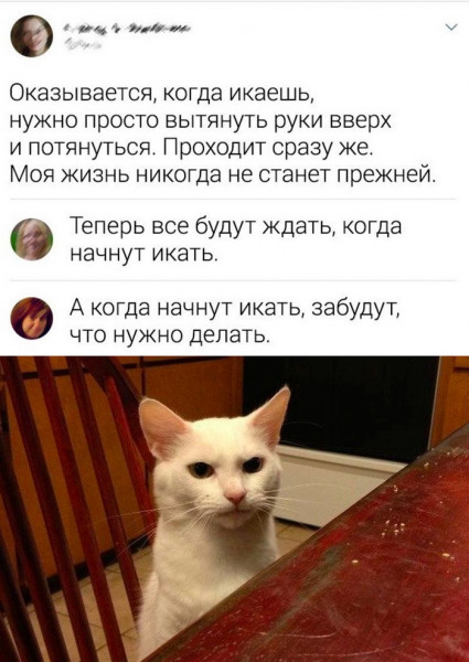 Мем, Брюттон