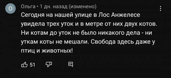 Мем: Вате завидовать! ?, Юрий Небольсин