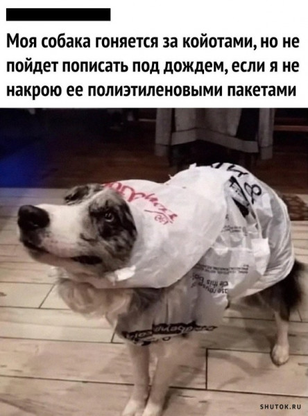 Мем, Джокер