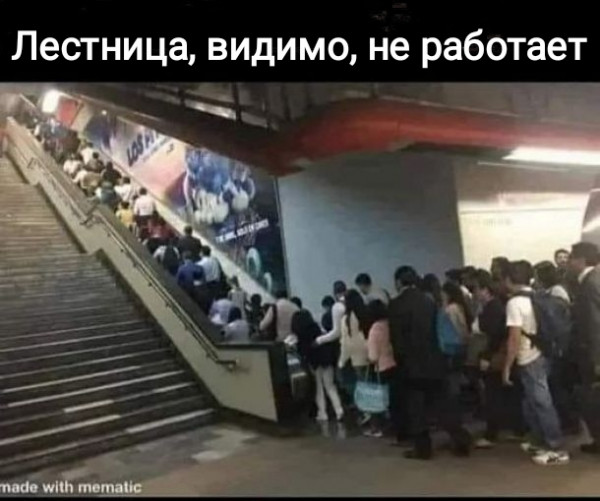 Мем, Рысь