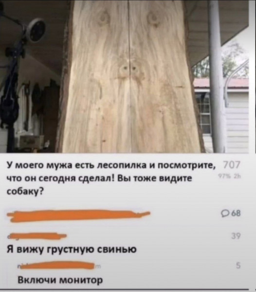 Мем, Кот Отморозкин