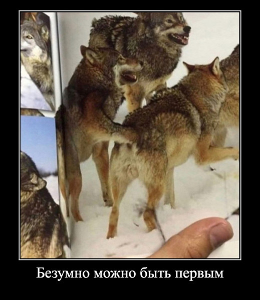 Мем: Показалось, Кот Отморозкин