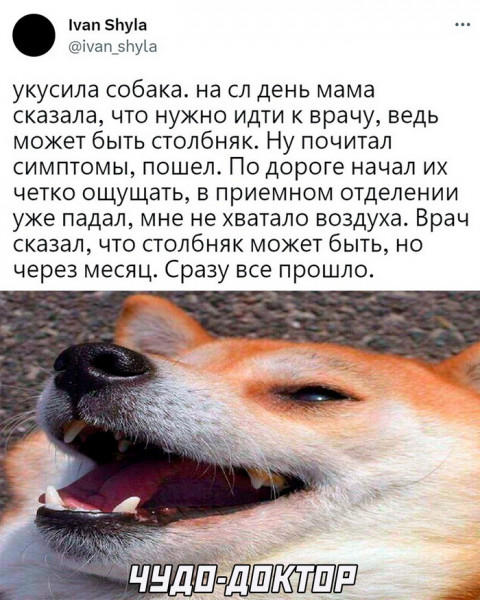 Мем, Брюттон