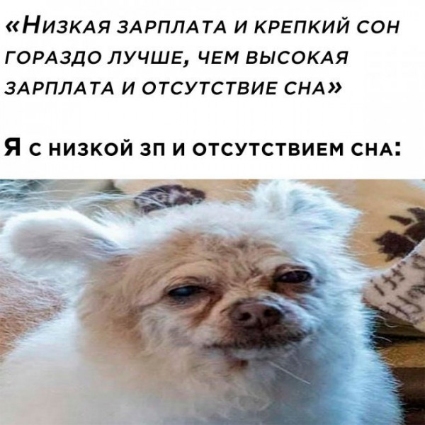 Мем, Брюттон