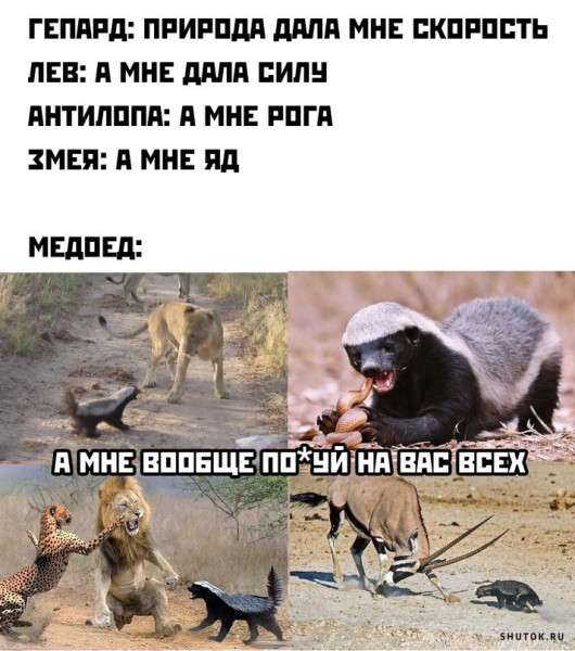 Мем, Джокер