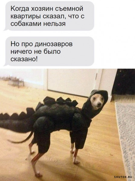 Мем, Джокер