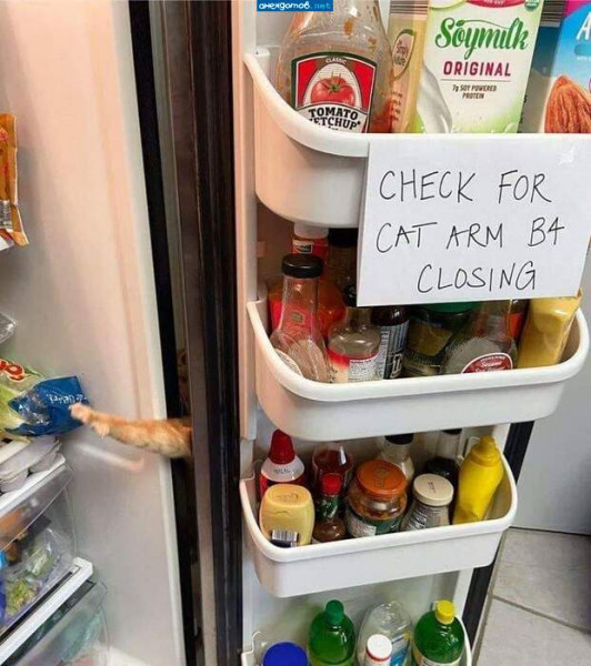 Мем: При закрытии проверьте наличие рычага "cat B4", Леонид Хлыновский