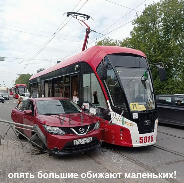 Мем: не уступать и не сдаваться!, тпица