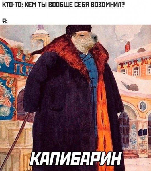 Мем, Максим Камерер