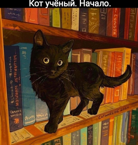 Мем, Рысь
