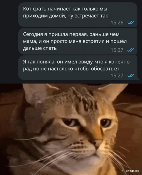 Мем, Джокер