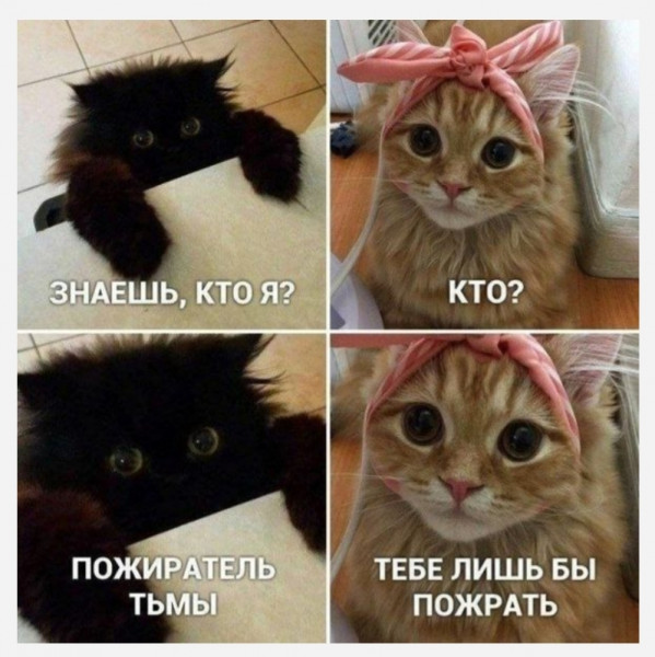 Мем, Femf