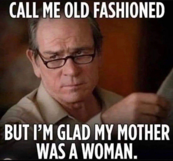 Мем: Зовите меня старомодным, но я рад что моя мама была женщина..., Dinenti 78
