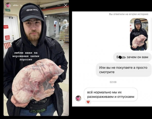 Мем, Кот Отморозкин