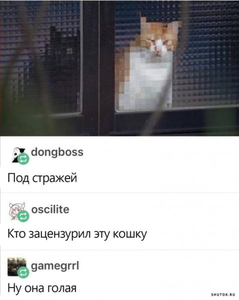 Мем, Джокер