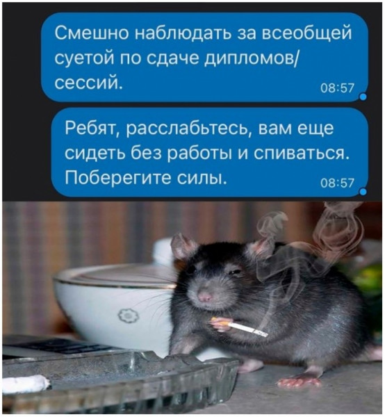 Мем, beauty_foo_ll