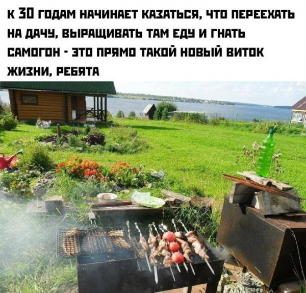 Мем, Брюттон