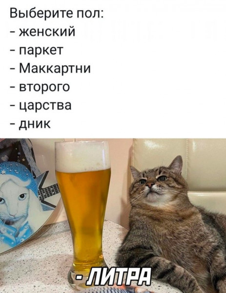 Мем, Брюттон